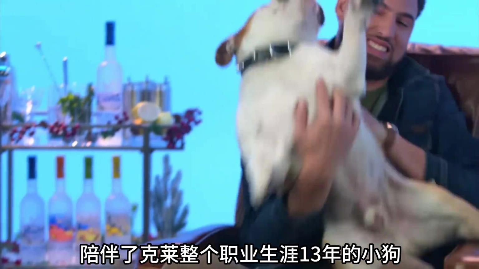 陪伴克萊13年的小狗去世了，不敢相信克萊得多么傷心